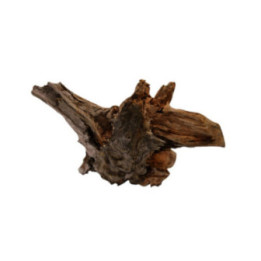 DRIFTWOOD XXL -
