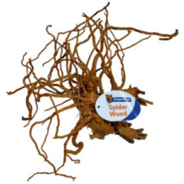 SPIDERWOOD M -