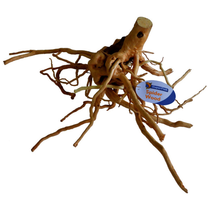 SPIDERWOOD L -