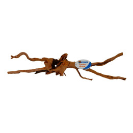 SPIDERWOOD XL -