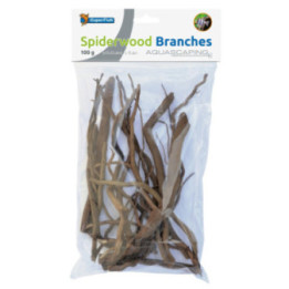 SPIDERWOOD BRANCH -
