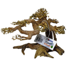 BONSAI DRIFTWOOD S -