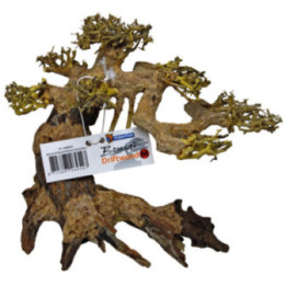 BONSAI DRIFTWOOD M -