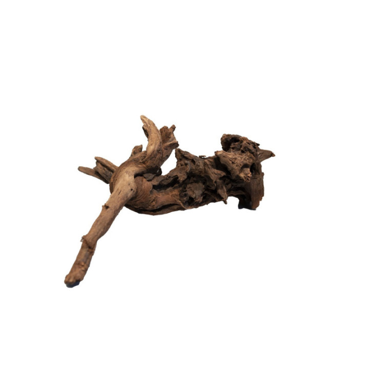 MANGROVE AGED WOOD S -