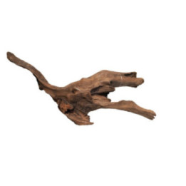 MANGROVE AGED WOOD M -