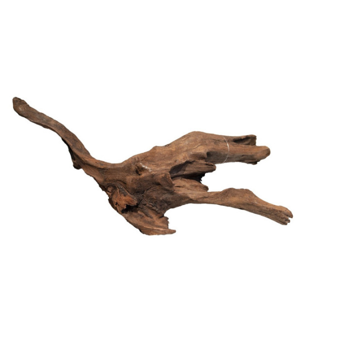 MANGROVE AGED WOOD M -