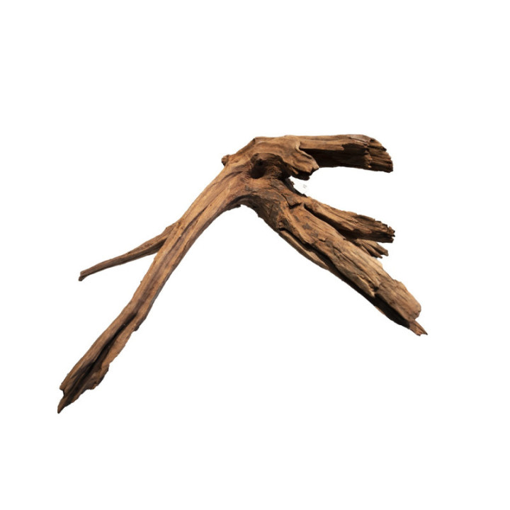 MANGROVE AGED WOOD L -