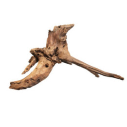 MANGROVE AGED WOOD XL -