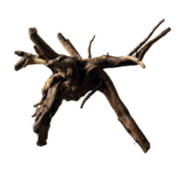 BLACK SPIDERWOOD S -