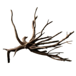 BLACK SPIDERWOOD M -