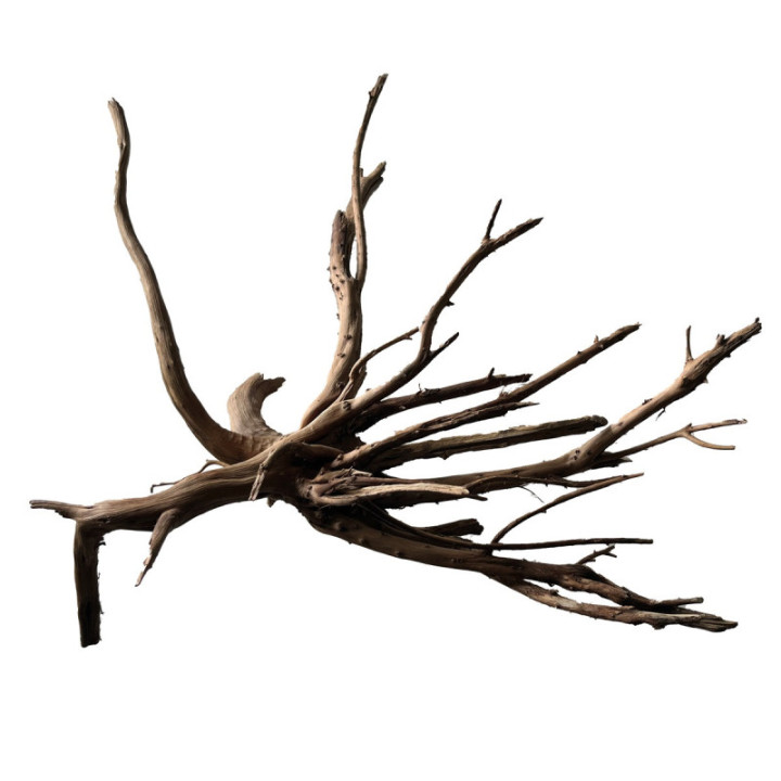 BLACK SPIDERWOOD M -