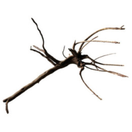 BLACK SPIDERWOOD XL -