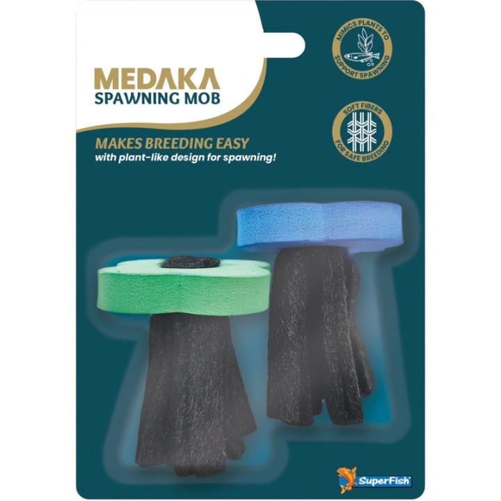 Medaka MEDAKA SPAWNING MOB - Medaka