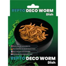 Repto REPTO DECO WORM DISH - Repto