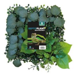 Repto REPTO PLANT BACK WALL 25X25CM 1 - Repto