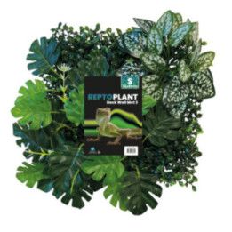 Repto REPTO PLANT BACK WALL 25X25CM 3 - Repto