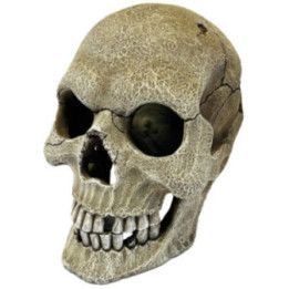 Repto REPTO DECO HUMAN SKULL XL - Repto