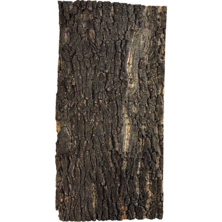 Repto REPTO CORK PLATE 60 X 30 CM - Repto