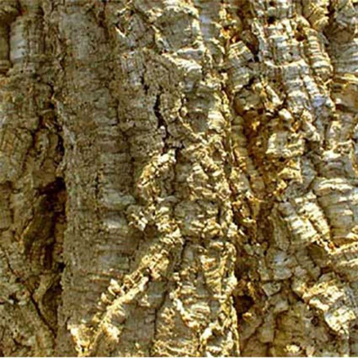 Habistat HABISTAT CORK BARK 1KG - Habistat