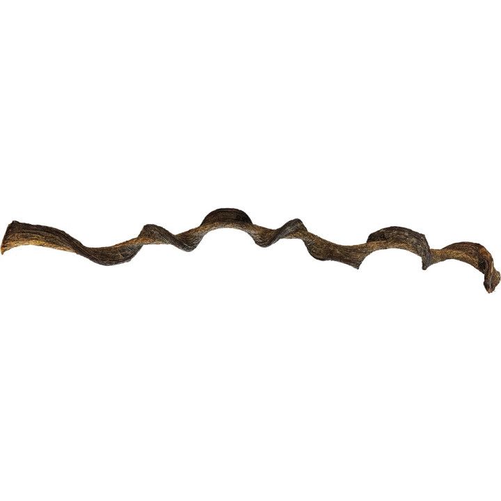 Repto REPTO JUNGLE WOOD 95 CM - Repto