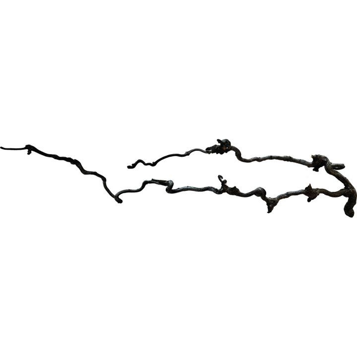 Repto REPTO BEARD WOOD 60-80 CM - Repto