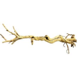 Repto REPTO DRAGON TREE 90-105CM - Repto