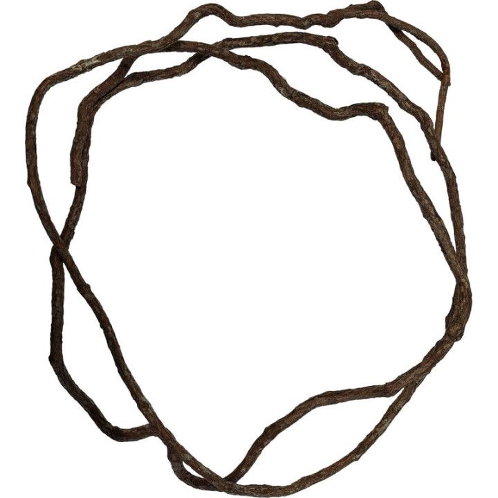 Repto REPTO TREE VINE 300CM - Repto