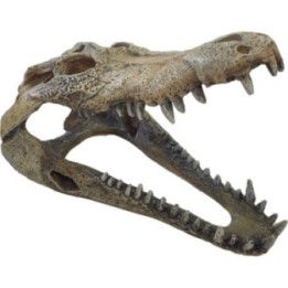 Repto REPTO DECO CROCODILE L - Repto