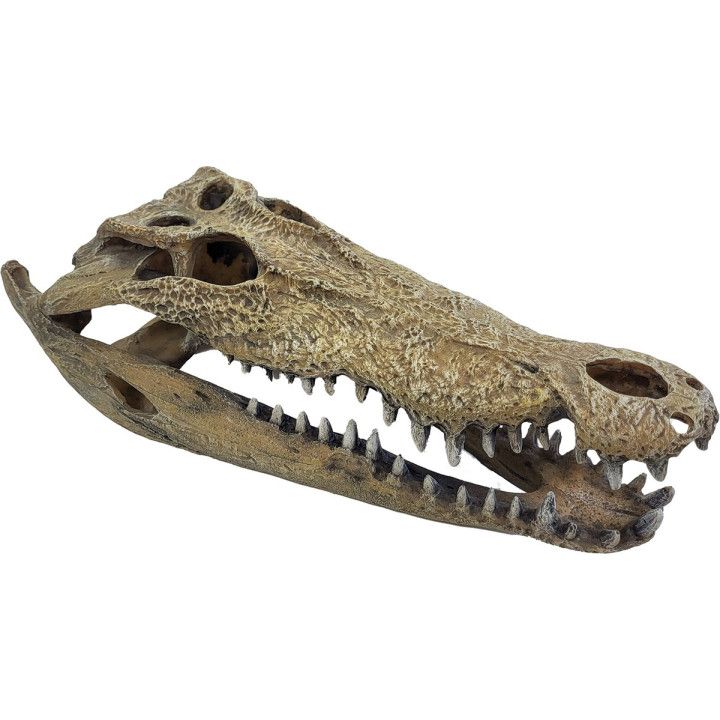 Repto REPTO DECO CROCODILE XXL - Repto
