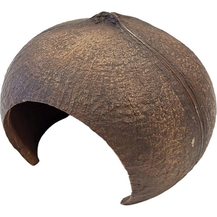 Repto REPTO DECO COCONUT - Repto