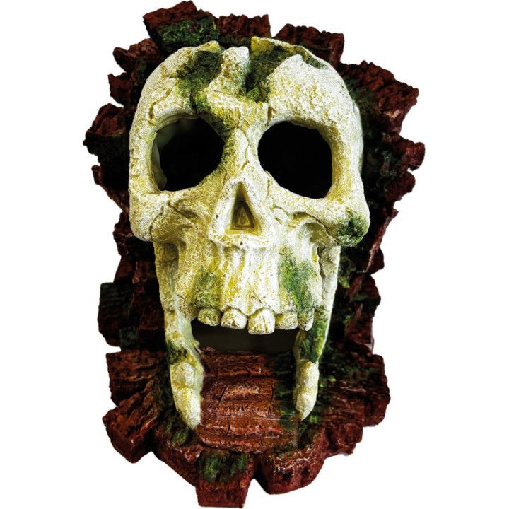 Repto REPTO DECO GORILLA SKULL - Repto