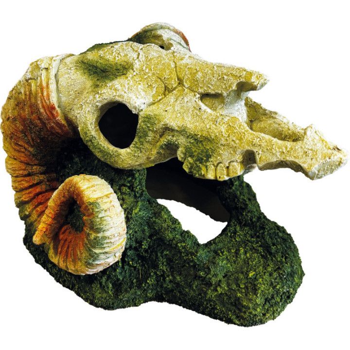 Repto REPTO DECO GOAT SKULL - Repto