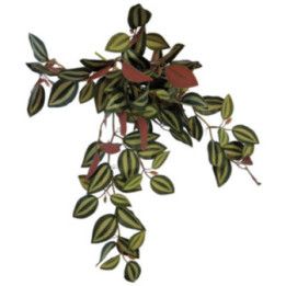 Repto REPTO PLANT HANGING RED BACK 46CM - Repto