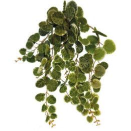 Repto REPTO PLANT HANG ROUND LEAVES 46CM - Repto