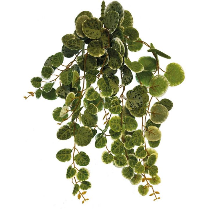 Repto REPTO PLANT HANG ROUND LEAVES 46CM - Repto
