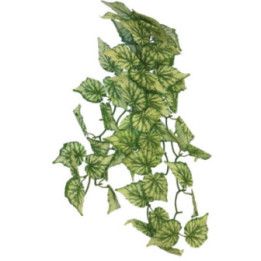 Repto REPTO PLANT HANGING HEDERA 65CM - Repto