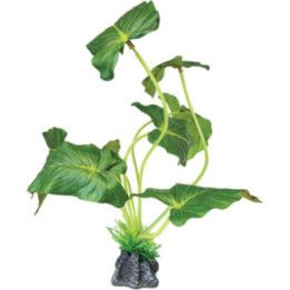 Repto REPTO PLANT STANDING ELEPHANT EAR - Repto