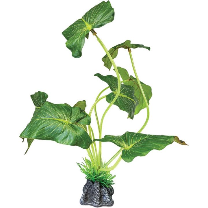 Repto REPTO PLANT STANDING ELEPHANT EAR - Repto