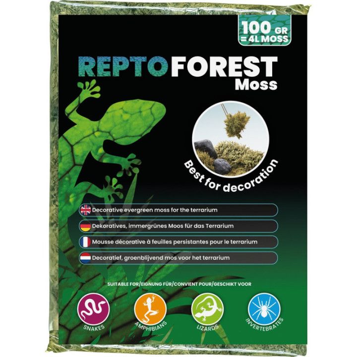 Repto REPTO FOREST MOSS 100G - Repto