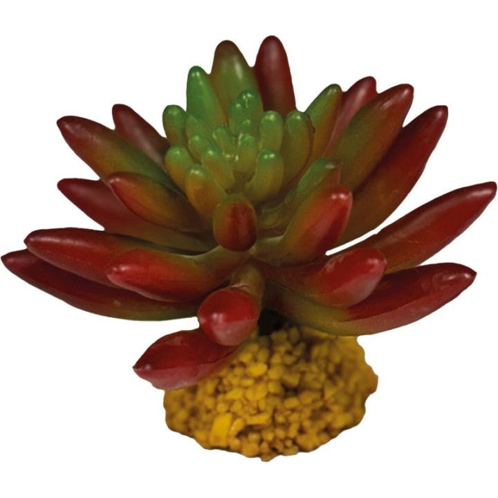 Repto REPTO PLANT SUCCULENT RED - Repto