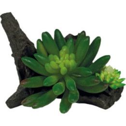 Repto REPTO PLANT SUCCULENT ON DECO - Repto