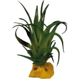 Repto REPTO PLANT TILLANDSIA - Repto