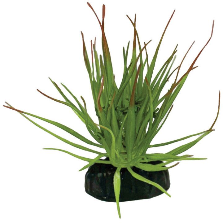 Repto REPTO PLANT TILLANDSIA ION - Repto