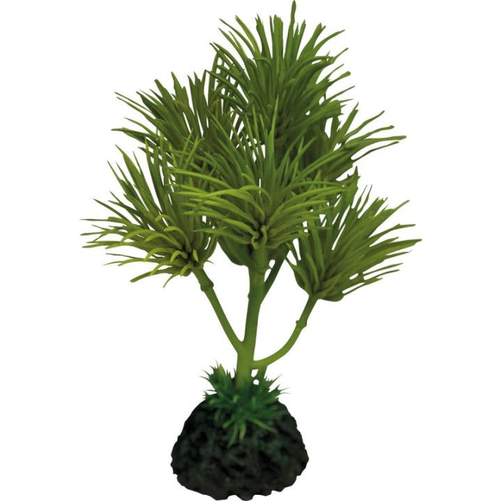 Repto REPTO PLANT CACTUS PALM - Repto