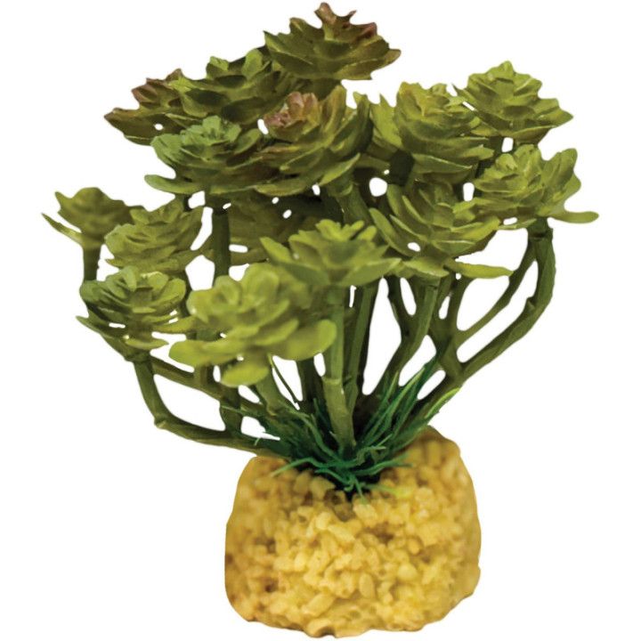 Repto REPTO PLANT CACTUS TREE - Repto