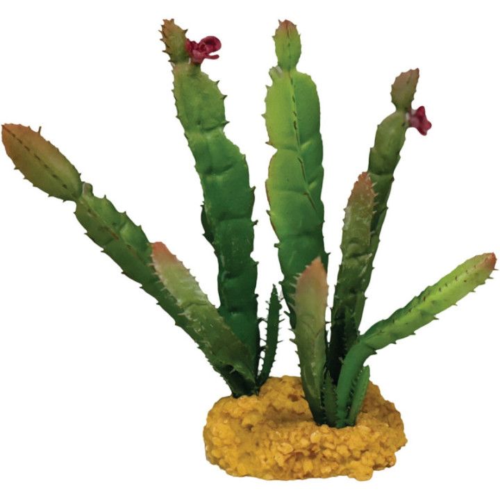 Repto REPTO PLANT CACTUS NEEDLE RED TIP - Repto