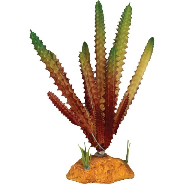 Repto REPTO PLANT CACTUS NEEDLE RED - Repto