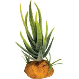 Repto REPTO PLANT ALOE GREEN - Repto