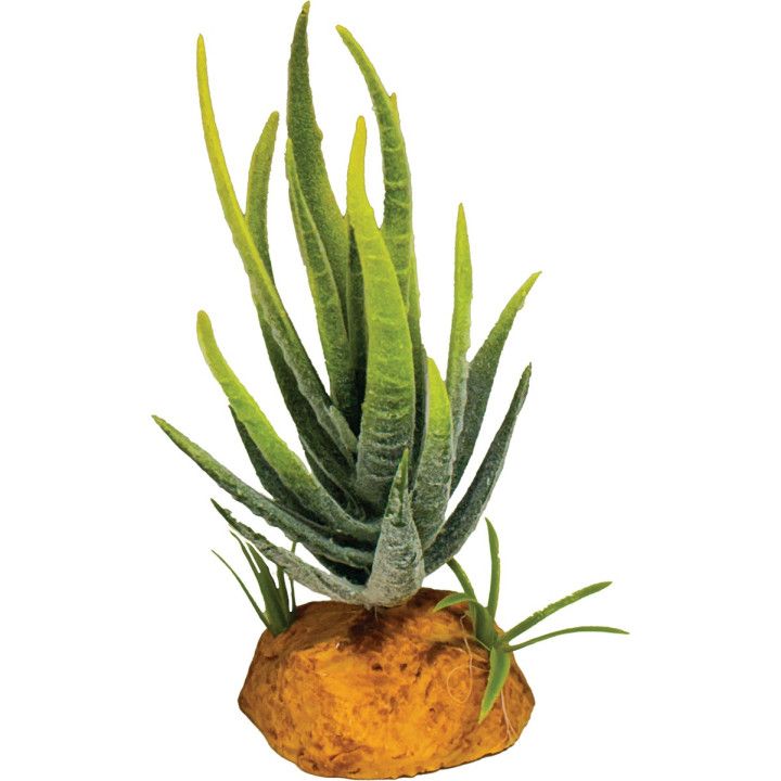 Repto REPTO PLANT ALOE GREEN - Repto