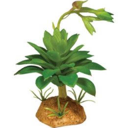 Repto REPTO PLANT SUCCULENT GREEN - Repto